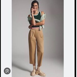 Exquise Anthropologie Pleated Barrel Leg Chino Pants XL layered chic minimalist